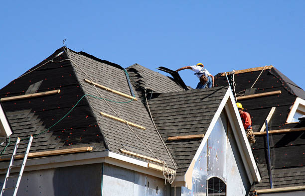 Best Gutter Installation and Roofing  in Fox Lake, WI