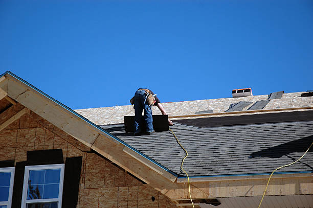 Best Shingle Roofing Installation  in Fox Lake, WI