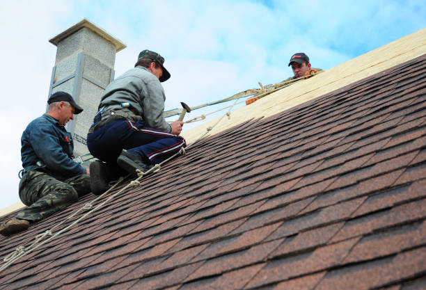 Best Roof Maintenance Services  in Fox Lake, WI